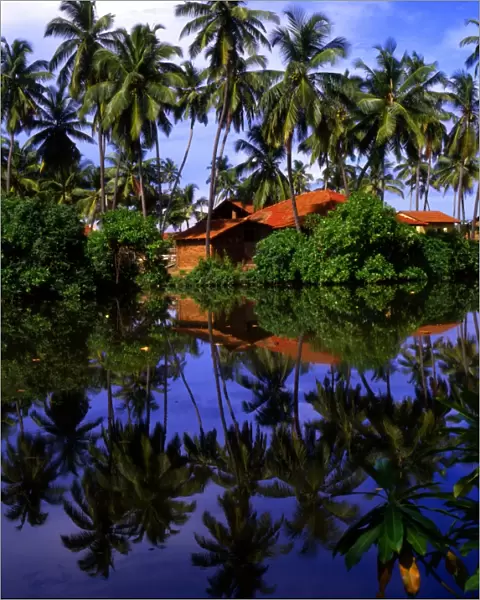 T4. 07 Sri Lanka. Nogombo