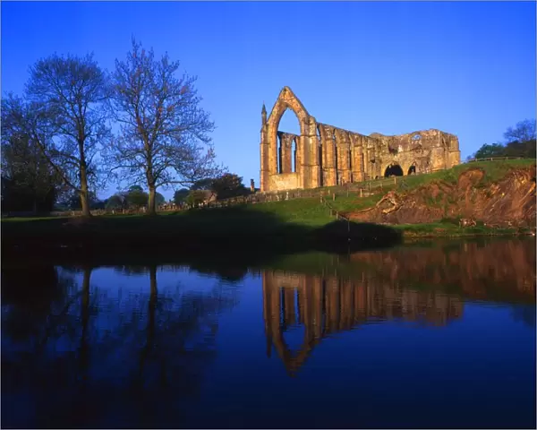 View of the ruins of Bolton Abbey across the river