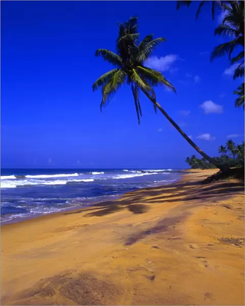 Beach north of Galle, Sri Lanka