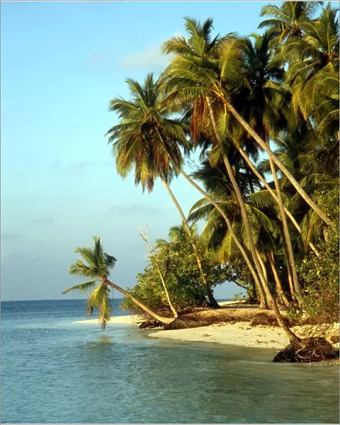 TROPICAL ISLANDS Beach at Little Bandos, Maldives, Indian Ocean