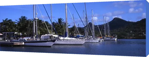T4. 045. West Indies. St. Lucia [Panoramic shot]