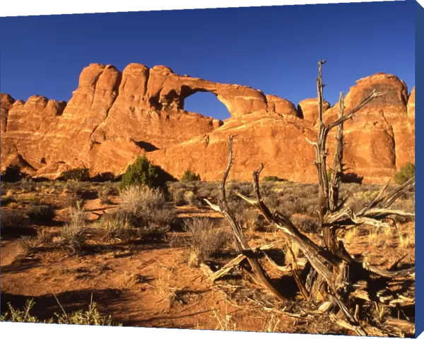 USA - Arches in National Park, Utah, Arizona - ?TopFoto  /  CW