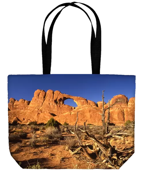 USA - Arches in National Park, Utah, Arizona - ?TopFoto  /  CW