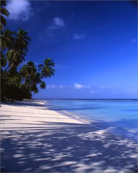 Beach on Tobego, West Indies