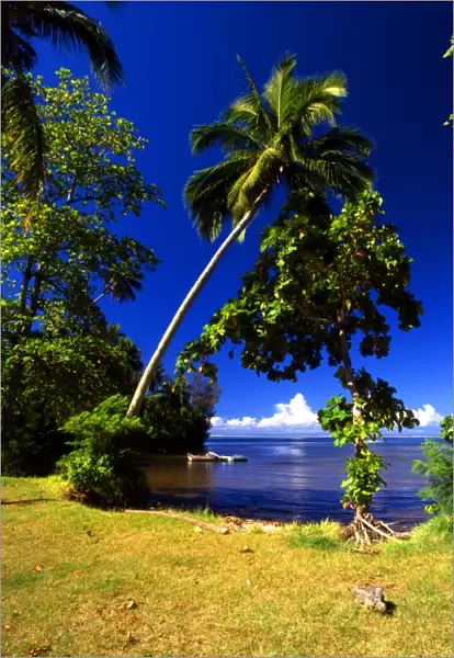 T4. 15. Tahiti group: Morea island