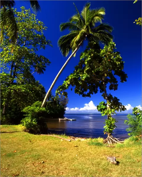T4. 15. Tahiti group: Morea island