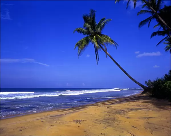 Tropical beauty. Sri Lanka. Beach to the north of Galle