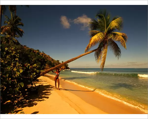 T4. 05. Antigua. Girl standing beneath palm tree