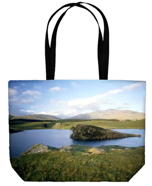 Strange phenomena - The so-called floating island in Llyn Dywarchen, Wales. It has