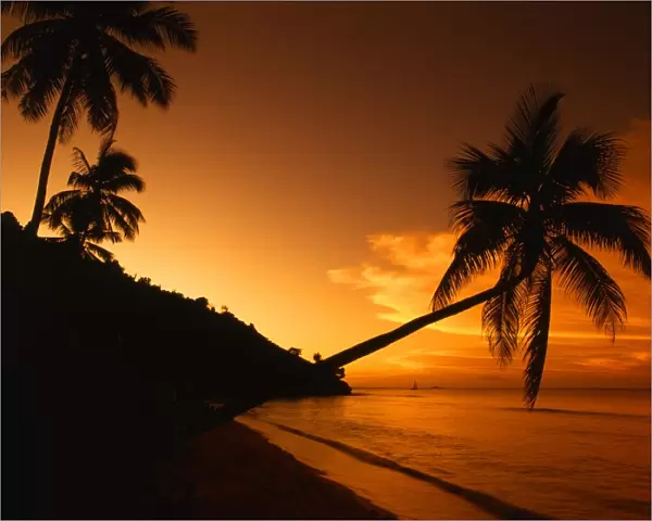 Galley Bay, on the island of Antigua - West Indies. Sunset. This picture is a