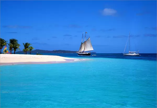 Tropical beauty. West Indies. Grenadines. Palm Island