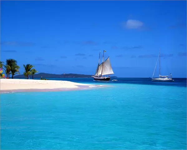 Tropical beauty. West Indies. Grenadines. Palm Island