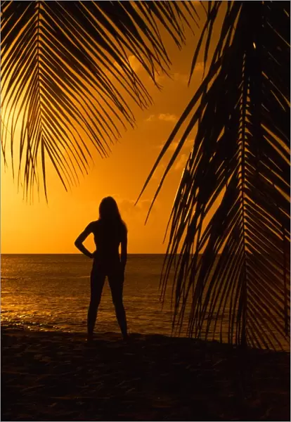 Girl on beach at sunset, seen through palm leaves