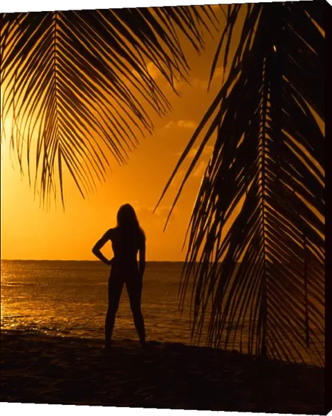 Girl on beach at sunset, seen through palm leaves