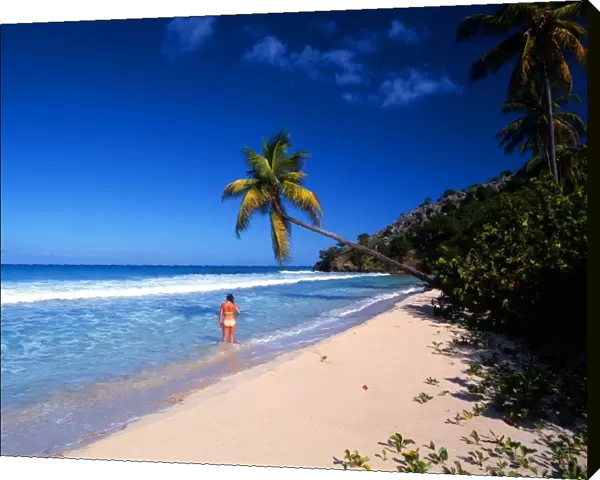 T4. West Indies. Antigua. Girl on beach