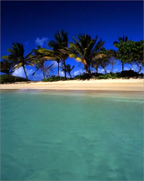 Tropical beauty. The Grenadines. Mayreau Island