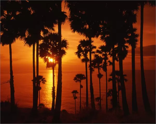 Tropical beauty. Thailand. Phuket. Sunset over the sea