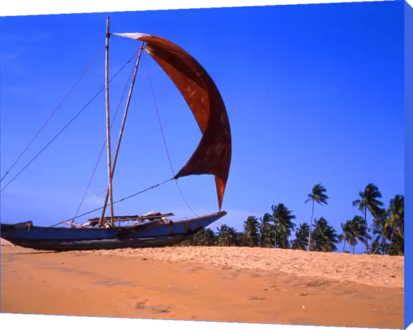 Traditional boat drawn up on the beach at Negombo