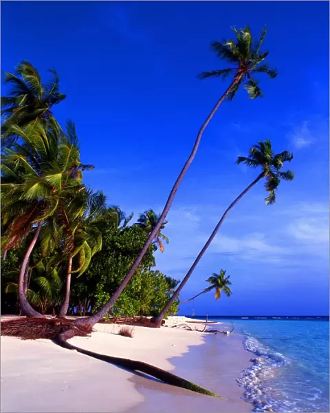 Tropical beauty. Maldives. Little Bandos