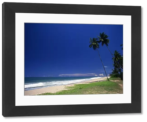 T4. 44. Sri Lanka, Beach to the north of Galle