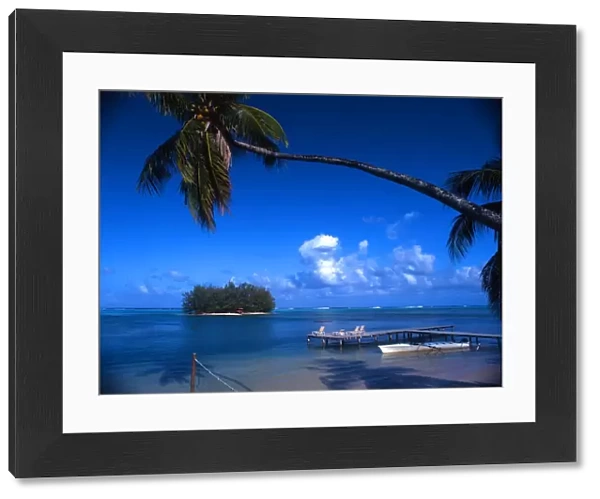 Staging post, palm tree and islet, on the island of Morea (off Tahiti)