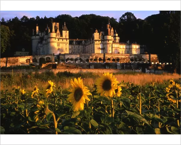 France - Loire Valley - Chateau at Usse