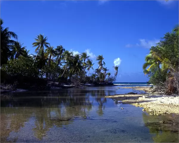 Polynesia Island on Rangiroa atoll