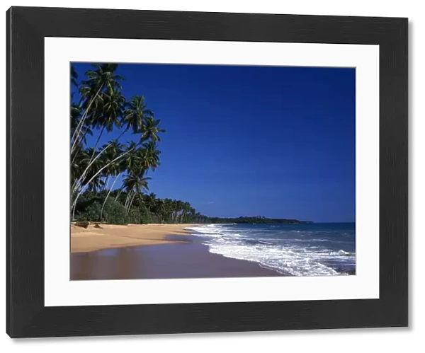 Tropical beauty. Sri Lanka. Kuskoda beach