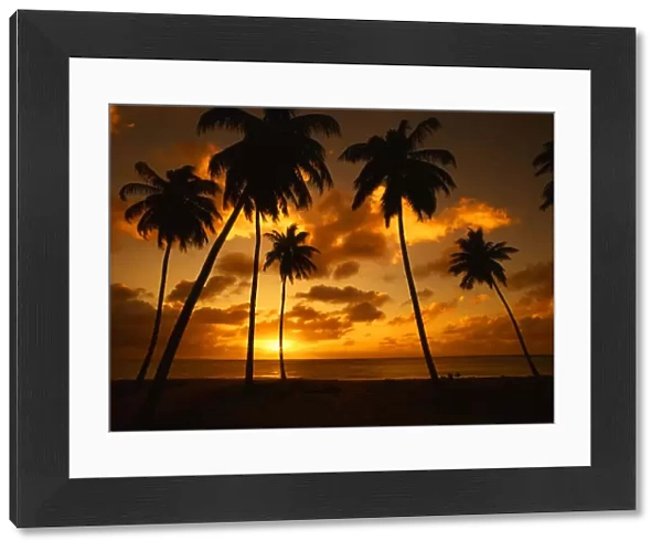 Darkwood Beach at sunset, in Antigua, West Indies