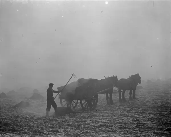 A farmer spreads manure from a horse and cart on a February morning in Allington, Kent
