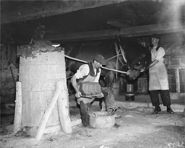 Making clay bricks using a horse powered press. 1936