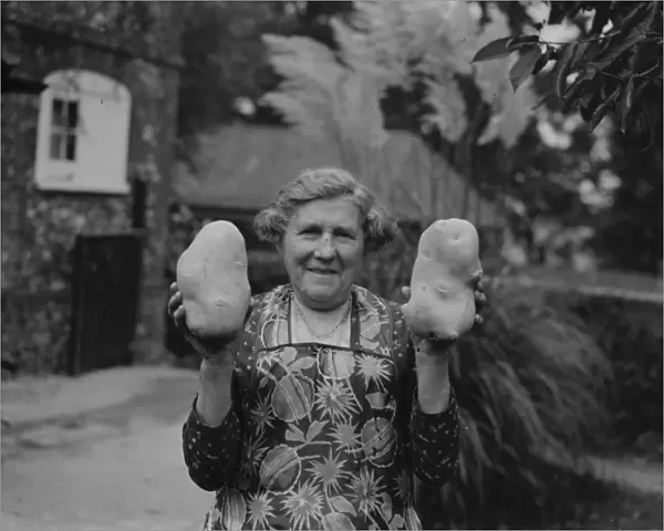 Giant potatoes for Mrs Palmer of Horton Kirby, Kent. 13 October 1937