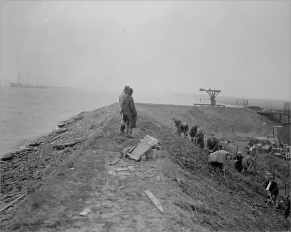 Workers maintaining the river defences and doing repairs on the river wall and embankment