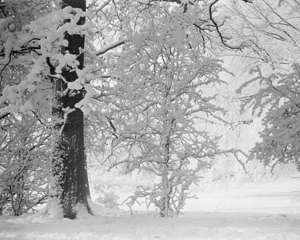 Snow scene in Kent. 1939