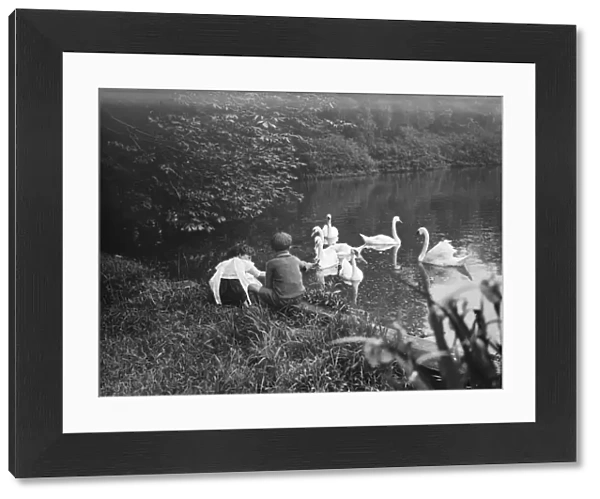 Children watch swans on the lake in Lullingstone Park near Eynsford, Kent