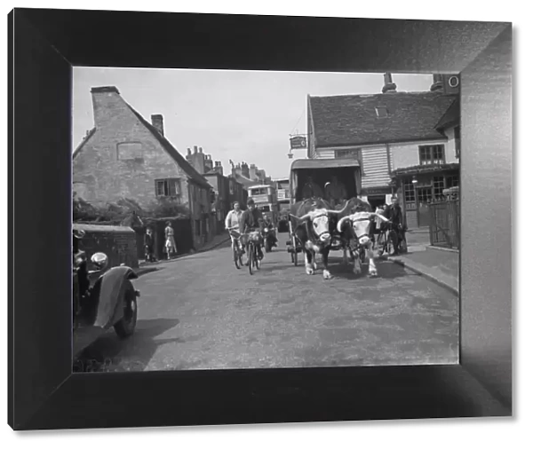 A bullock and cart in Sidcup, Kent. 1938