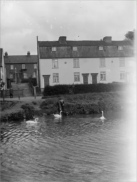St Mary Cray riverside cottages and swans. 1935