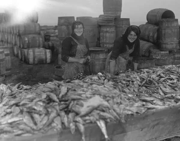Herring harvest at Lowestoft Scotch fisher girls gutting and packing the fish
