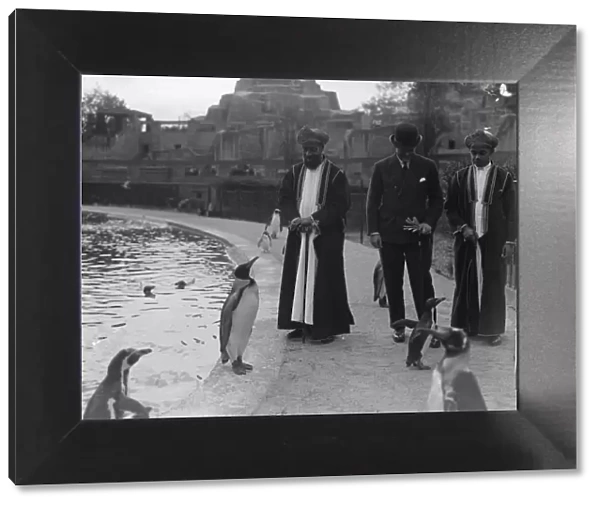 A King and the Sultan. The Sultan of Zanzibar and the King Penguin at the Zoo