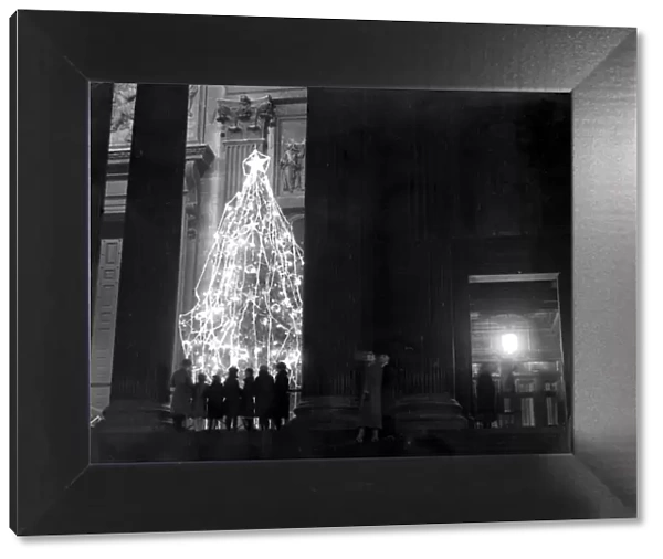 Christmas, 1935. Christmas trees in the Portico of St Pauls Cathedral. 14 December