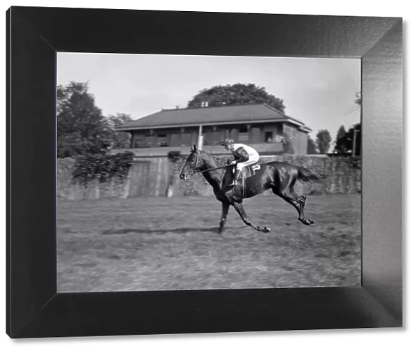 Gatwick racecourse, West Sussex, England The racehorse Chrysler II ( ridden