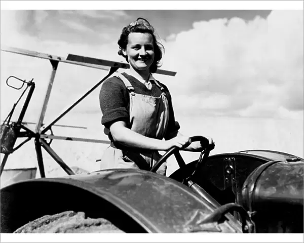 A woman farm worker on self binding machine on the farm on the Sussex Downs. August