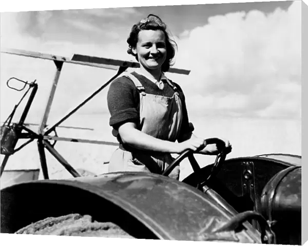 A woman farm worker on self binding machine on the farm on the Sussex Downs. August