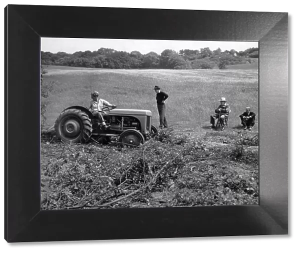 Churchill with Christopher Soames and Anthony Eden on his farm at Chartwell in Westerham
