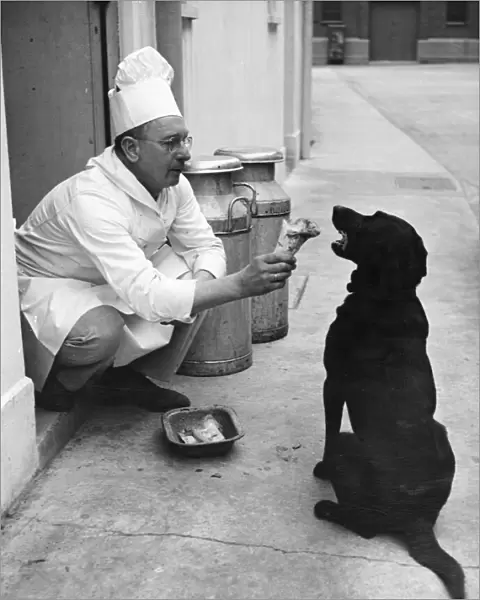 Chef Andrew Schillar gives a dog a bone from the side entrance of his kitchen. undated