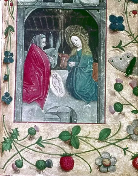 Nativity. Book of Hours, Flanders, 2nd half 15th Cent