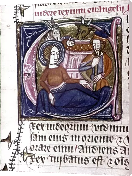 Nativity, Mary and Joseph with child, ox and ass