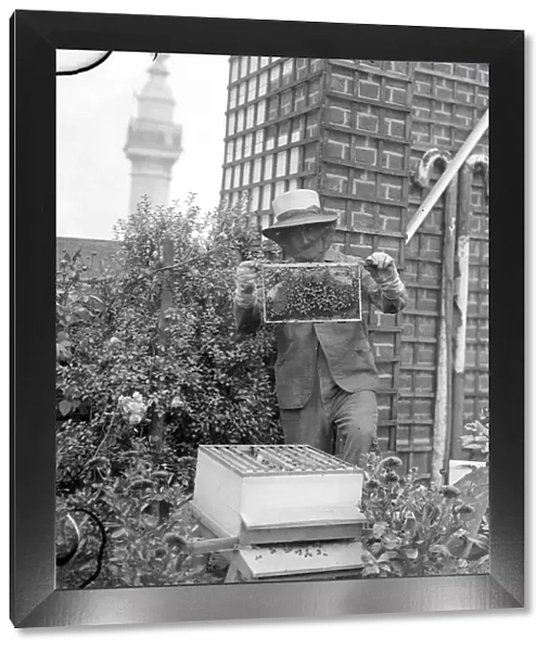 Mr C Keene his face masked with a frame of his bees in the garden on the roof of