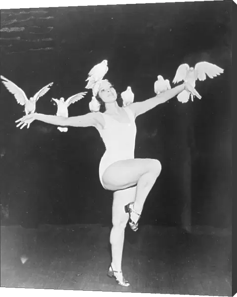 The Dove dance, Americas latest role. The fan dance, having palled on Americas jaded audiences