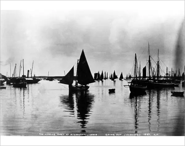The herring fleet at Stornoway, Lewis, going out in the evening - 1367 ?TopFoto
